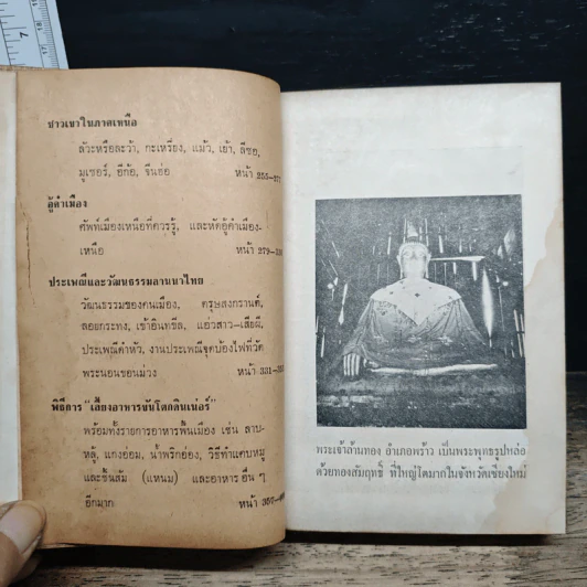 นำเที่ยว เชียงใหม่-ลำพูน รูปที่ 9