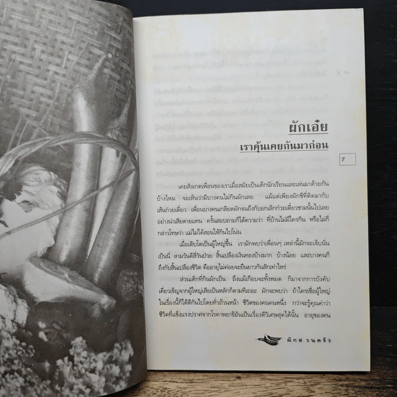 ผักสวนครัว ก้าวสำคัญแห่งการพึ่งตนเอง - เมฆ จันทร์ประยูร รูปที่ 7