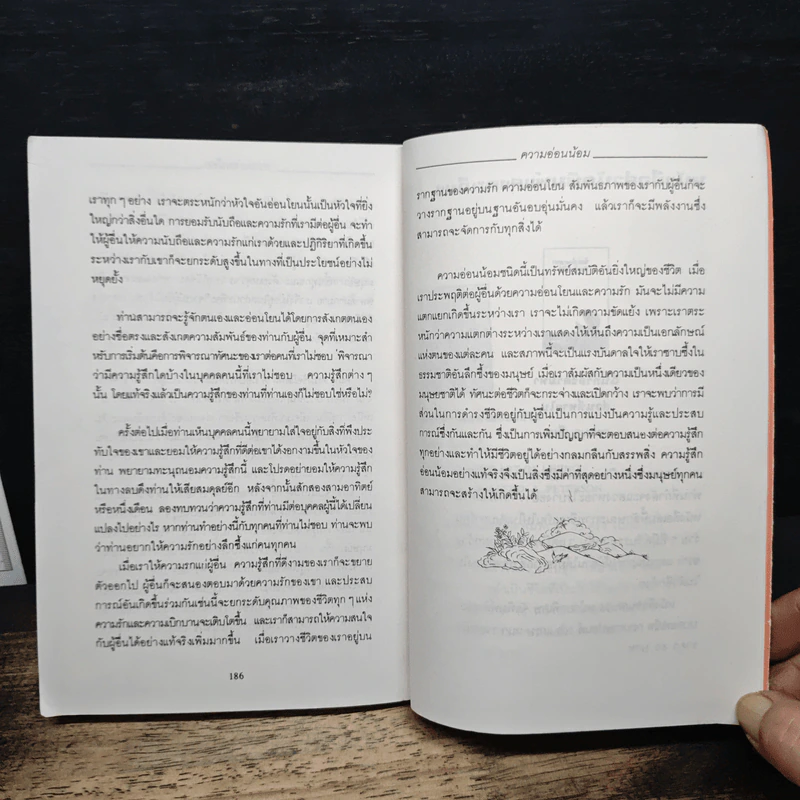 แห่งการงานอันเบิกบาน - ตาร์ถัง ตุลกู, โสรัช์ โพธิแก้ว รูปที่ 10