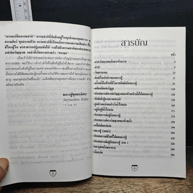 ประสบการณ์ทางวิญญาณแห่งศิษย์พุทธะ - คณะศิษย์หลวงปู่พุทธะอิสระ รูปที่ 7