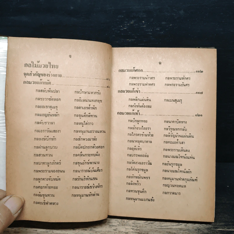 ตำรามวยไทย - ยศ เรืองสา รูปที่ 9