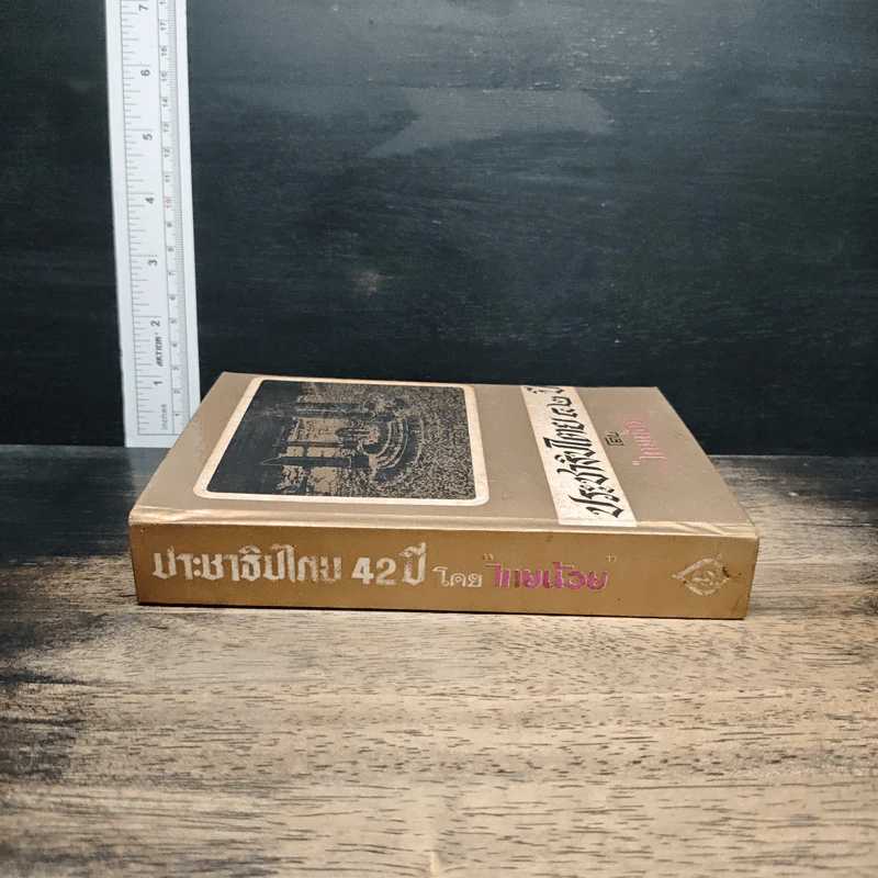 ประชาธิปไตย 42 ปี - ไทยน้อย รูปที่ 3