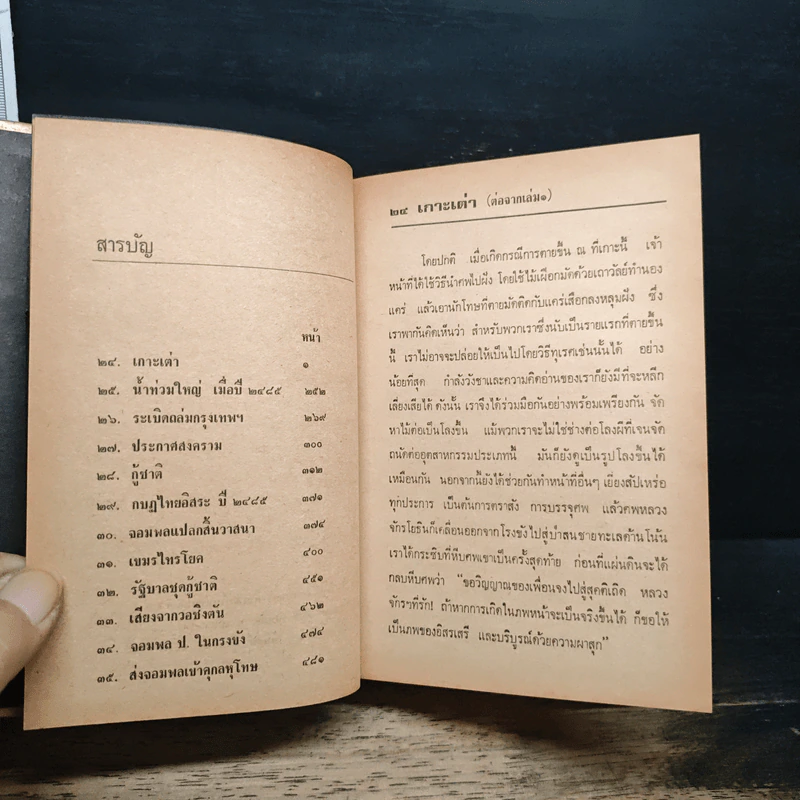 ประชาธิปไตย 42 ปี - ไทยน้อย รูปที่ 10