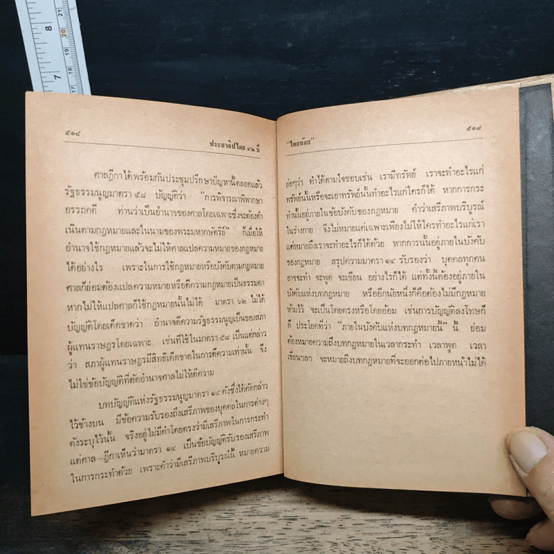 ประชาธิปไตย 42 ปี - ไทยน้อย รูปที่ 11