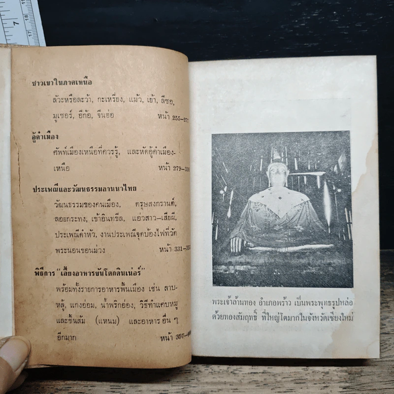 นำเที่ยว เชียงใหม่-ลำพูน รูปที่ 9