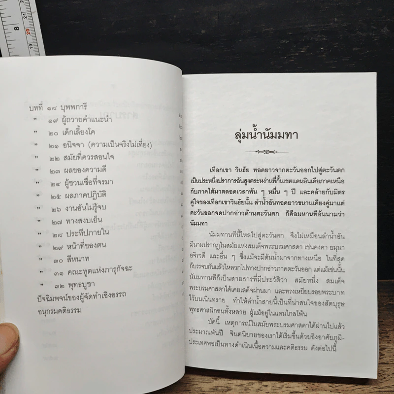 ลุ่มน้ำนัมมทา - สุชีพ ปุญญานุภาพ รูปที่ 8