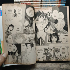 สาวแกร่งแรงเกินร้อย 36 เล่มจบ + เล่ม 37 เล่มพิเศษ รูปที่ 9