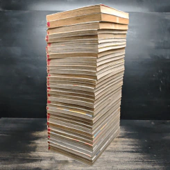 สาวแกร่งแรงเกินร้อย 36 เล่มจบ + เล่ม 37 เล่มพิเศษ รูปที่ 3