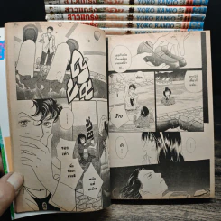 สาวแกร่งแรงเกินร้อย 36 เล่มจบ + เล่ม 37 เล่มพิเศษ รูปที่ 11