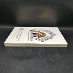 ปกิณกศิลปวัฒนธรรม เล่ม 28 จังหวัดพระนครศรีอยุธยา รูปที่ 5