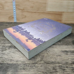 หนังสือ ดวงดาวหัวใจโจร รูปที่ 3