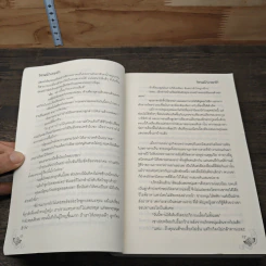 วิวาห์บำเรอรัก - อัยยา รูปที่ 7