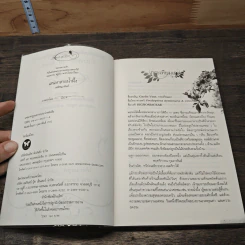 เสน่หาสายน้ำผึ้ง - ณพิชญานันศ์ รูปที่ 6