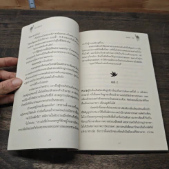 เม็ดทรายใต้เรียวรุ้ง - เพลงมีนา รูปที่ 7