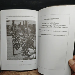 หนังสือ สวนกล้วย - สมศักดิ์ วรรณศิริ รูปที่ 9