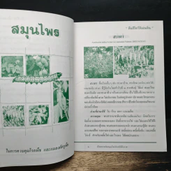 เทคนิคการควบคุม โรคพืช และแมลงศัตรูพืช รูปที่ 7
