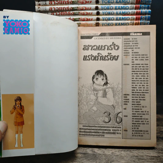 สาวแกร่งแรงเกินร้อย 36 เล่มจบ + เล่ม 37 เล่มพิเศษ รูปที่ 7
