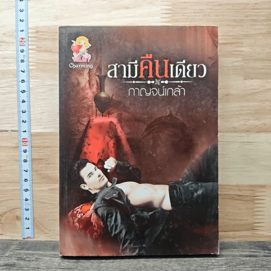 สามีคืนเดียว - กาญจน์เกล้า รูปที่ 1
