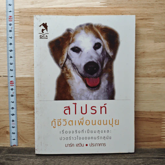สไปรท์ กู้ชีวิตเพื่อนขนปุย - มาร์ค เลวิน, ประภาคาร รูปที่ 1