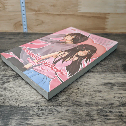 เด็กหนุ่มหน้าใส หัวใจซาตาน เล่ม 1 - Swordman แห่ง Iris รูปที่ 3