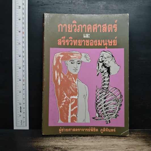 กายวิภาคศาสตร์ และ สรีรวิทยาของมนุษย์ - ผู้ช่วยศาสตราจารย์พิชิต ภูติจันทร์ รูปที่ 1