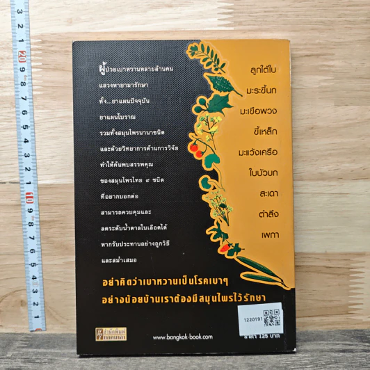 ทายาทยาขม มหัศจรรย์ 9 สมุนไพรขจัดเบาหวาน - พญ.อารีย์ โอบอ้อมรัก รูปที่ 5