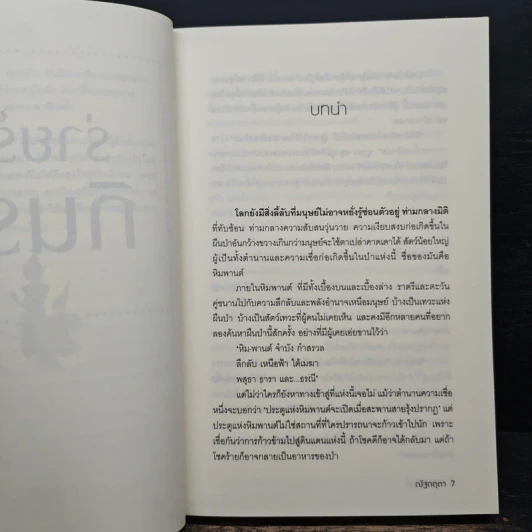 ร่ายรักกินรา ซีรีส์หิมวันต์รัญจวน - ณัฐกฤตา รูปที่ 6