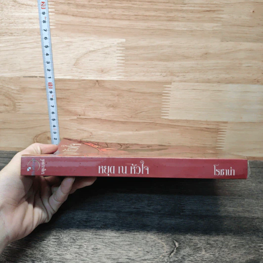 หยุด ณ หัวใจ - โรซาน่า รูปที่ 2