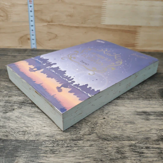 หนังสือ ดวงดาวหัวใจโจร รูปที่ 3