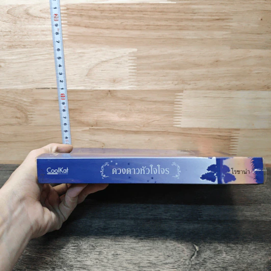 หนังสือ ดวงดาวหัวใจโจร รูปที่ 2