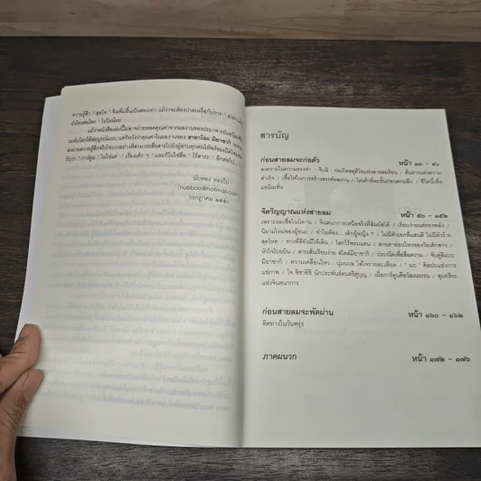 ฉีกขนบแอนิเมชั่น : เอกลักษณ์ของฮายาโอะ มิยาซากิ นักฝันแห่งตะวันออก - นับทอง ทองใบ รูปที่ 7