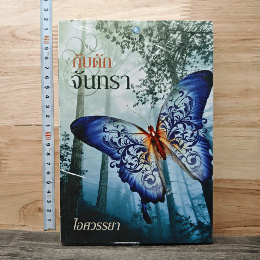 กับดักจันทรา - ไอศวรรยา รูปที่ 1