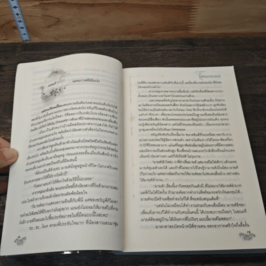 ไฟรักมายาลวง - ปานตะวัน รูปที่ 7