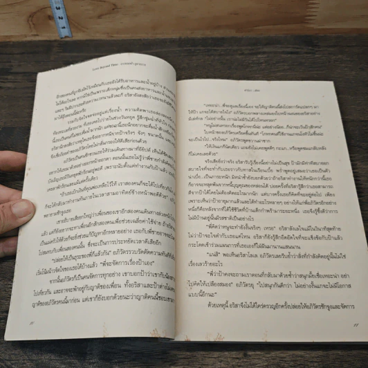 ดาวหลงฟ้าภูผาทราย - ฟารีดา รูปที่ 7
