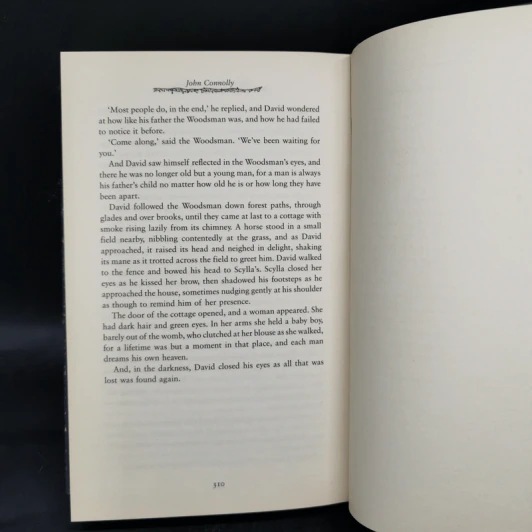 The Book of Lost Things - John Connolly รูปที่ 10