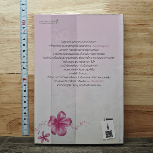 แผนร้ายปล้นรัก - กรกวี รูปที่ 5