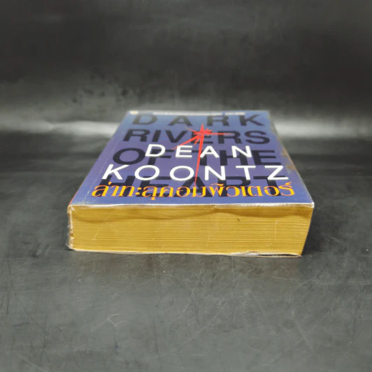 ล่าทะลุคอมพิวเตอร์ - Dean Koontz รูปที่ 4