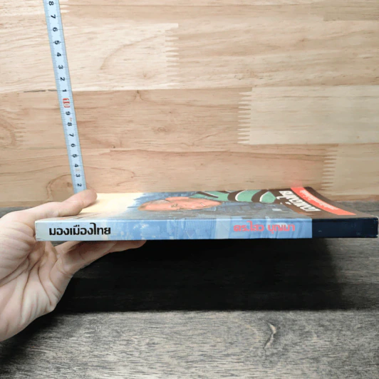 มองเมืองไทย จากสิบปีของการใช้หนี้แผ่นดิน - ไสว บุญมา รูปที่ 2