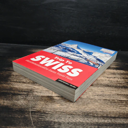 Trip To Swiss เที่ยวสวิตเซอร์แลนด์ด้วย Swiss Travel Pass รูปที่ 4
