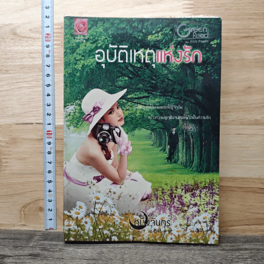 อุบัติเหตุแห่งรัก - หนึ่งจันทร์ รูปที่ 1