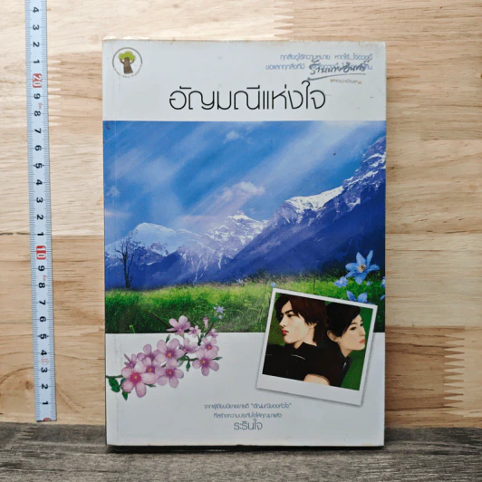 อัญมณีแห่งใจ - ระรินใจ รูปที่ 1