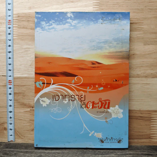 เงาทรายใต้ตะวัน - ถางเหมียว รูปที่ 1