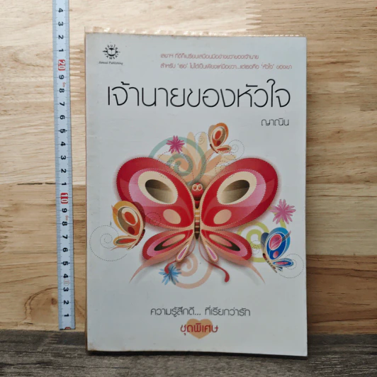 เจ้านายของหัวใจ - ญาณิน รูปที่ 1