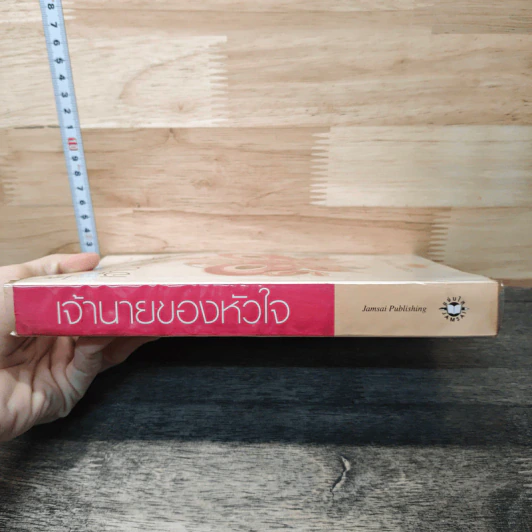 เจ้านายของหัวใจ - ญาณิน รูปที่ 2