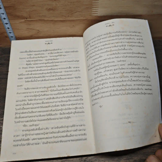 ทรายพราวแสง - เพลงมีนา รูปที่ 8