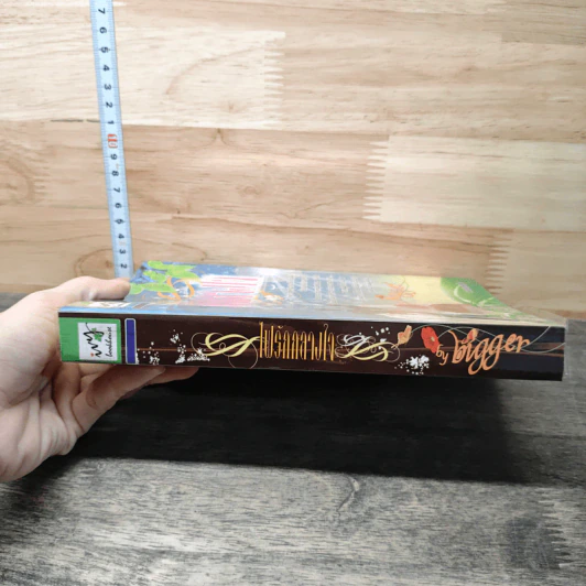 หนังสือ ไฟรักกลางใจ รูปที่ 2