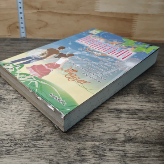 หนังสือ ไฟรักกลางใจ รูปที่ 3
