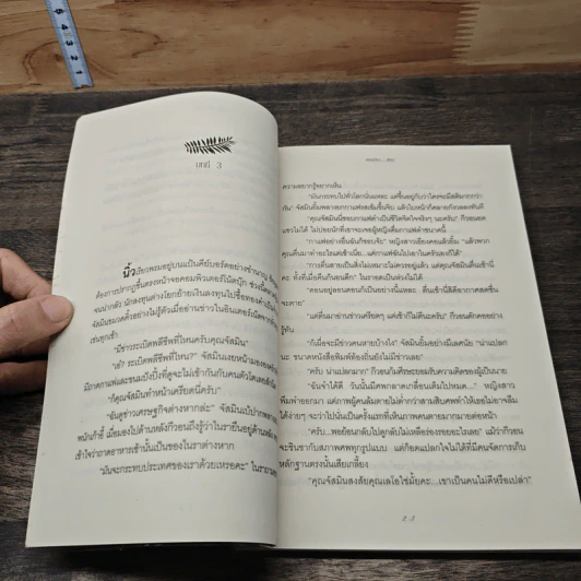 เล่ห์รักจรัสทราย - เพลงมีนา รูปที่ 7