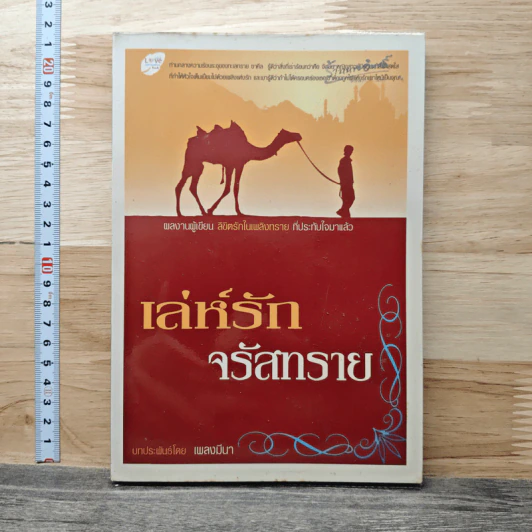 เล่ห์รักจรัสทราย - เพลงมีนา รูปที่ 1