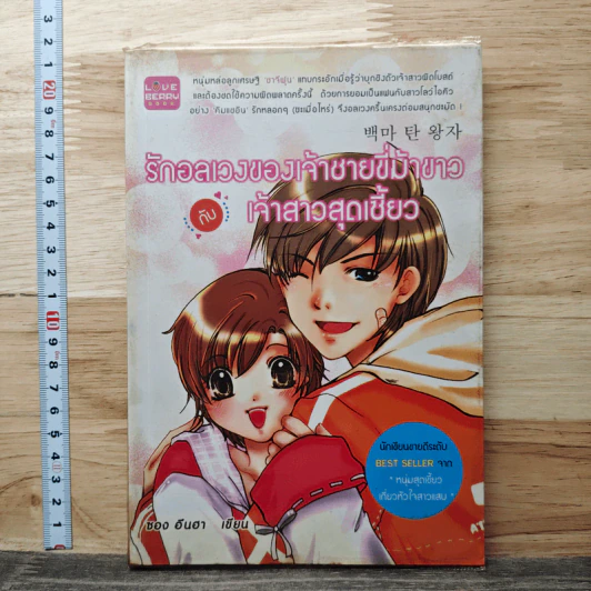 รักอลเวงของเจ้าชายขี่ม้าขาวกับเจ้าสาวสุดเชี้ยว - ซองอีนฮา รูปที่ 1